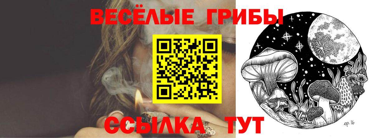 купить наркотик  Вход с VPN  Гай  Галлюциногенные грибы GOLDEN TEACHER 